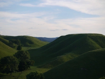 A cover of "ཐི༑✟⃨⃛༑ཋྀ Phota ♬" cluster. The owner is vurcury. The cluster consists of 3 elements.