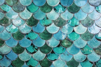 A cover of "mermaids" cluster. The owner is livrs. The cluster consists of 24 elements.