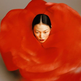 A cover of "edit" cluster. The owner is lecorbeau. The cluster consists of 14 elements.