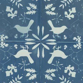 A cover of "Cyanotype" cluster. The owner is stolen.spoon. The cluster consists of 10 elements.