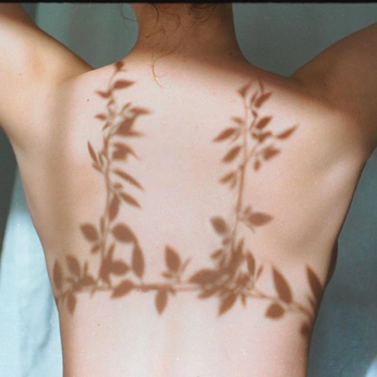 A cover of "shadows" cluster. The owner is sanjanadang. The cluster consists of 2 elements.