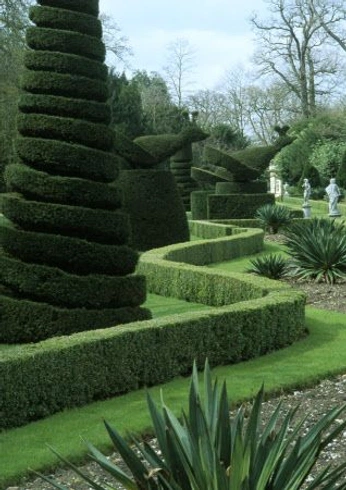 A cover of "Nature" cluster. The owner is martendejongh. The cluster consists of 1 element.