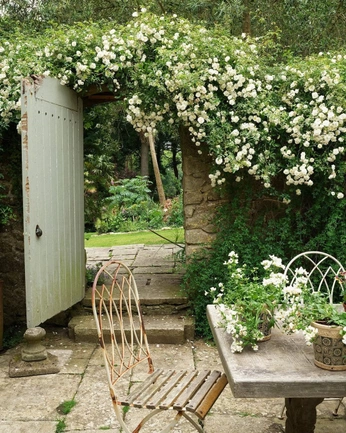 A cover of "Backyard" cluster. The owner is adalie. The cluster consists of 5 elements.