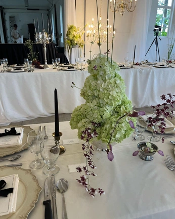 A cover of "🧠" cluster. The owner is heloboet. The cluster consists of 4 elements.