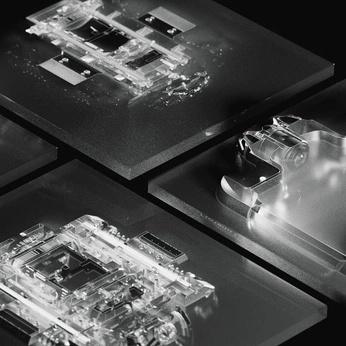 A cover of "BEDROCK" cluster. The owner is lilyjones. The cluster consists of 101 elements.