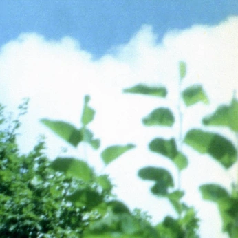 A cover of "Nature" cluster. The owner is kennd. The cluster consists of 3 elements.