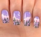 Cover of Nails cluster