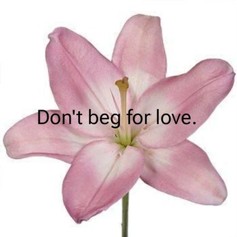 A cover of "73" cluster. The owner is meganalexander. The cluster consists of 1 element.