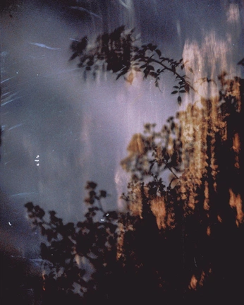 A cover of "CAMERA" cluster. The owner is quieteagles. The cluster consists of 30 elements.