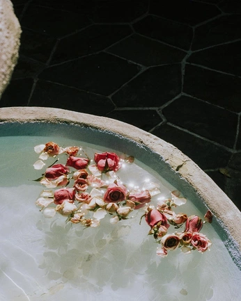 A cover of "Plato" cluster. The owner is monaspa. The cluster consists of 58 elements.