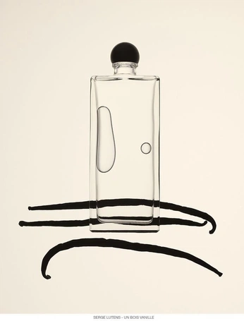 A cover of "IMAGES" cluster. The owner is leonorsacadura. The cluster consists of 46 elements.