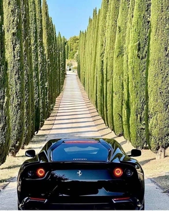 A cover of "From France to Italy" cluster. The owner is stolenart. The cluster consists of 25 elements.