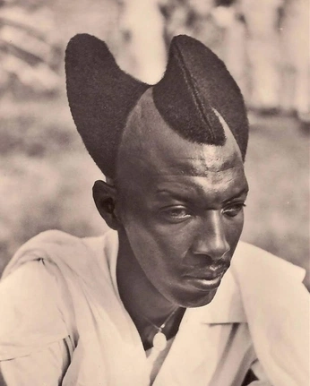 A cover of "Winter Shoot Col.1" cluster. The owner is dblthicc. The cluster consists of 36 elements.