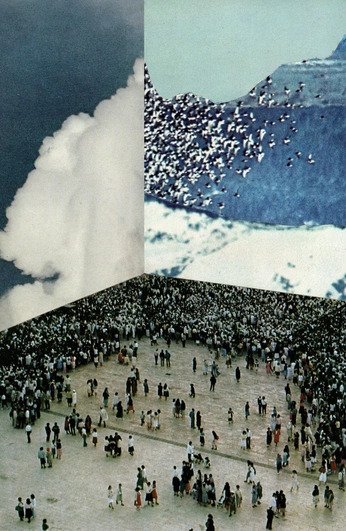 A cover of "Me" cluster. The owner is reno40c. The cluster consists of 2 elements.