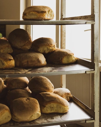 A cover of "casa comnectar" cluster. The owner is angellcunha. The cluster consists of 44 elements.