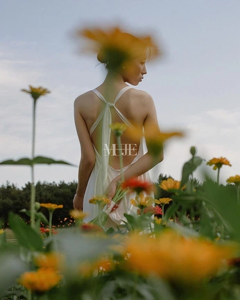 A cover of "Eva" cluster. The owner is alisterr. The cluster consists of 19 elements.