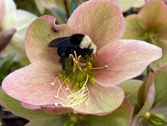 A cover of "Flight" cluster. The owner is isabelnao. The cluster consists of 2 elements.