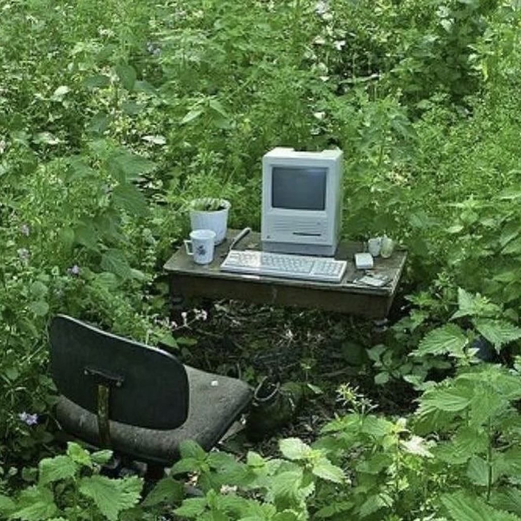 digital gardening