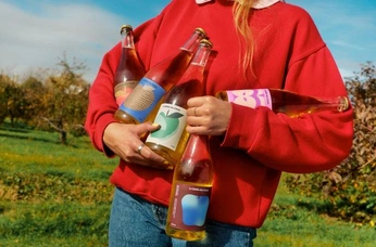 A cover of "BARBETON" cluster. The owner is loudsmt. The cluster consists of 6 elements.