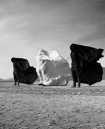 A cover of "TERRAFERMA" cluster. The owner is lilysmyth. The cluster consists of 11 elements.