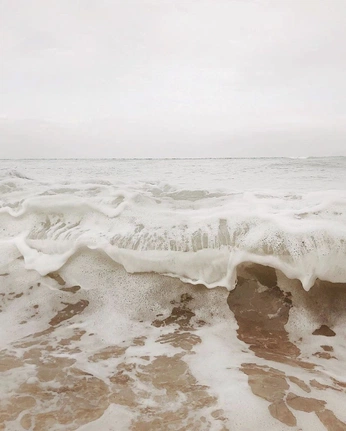 A cover of "sea" cluster. The owner is cathy0u. The cluster consists of 5 elements.