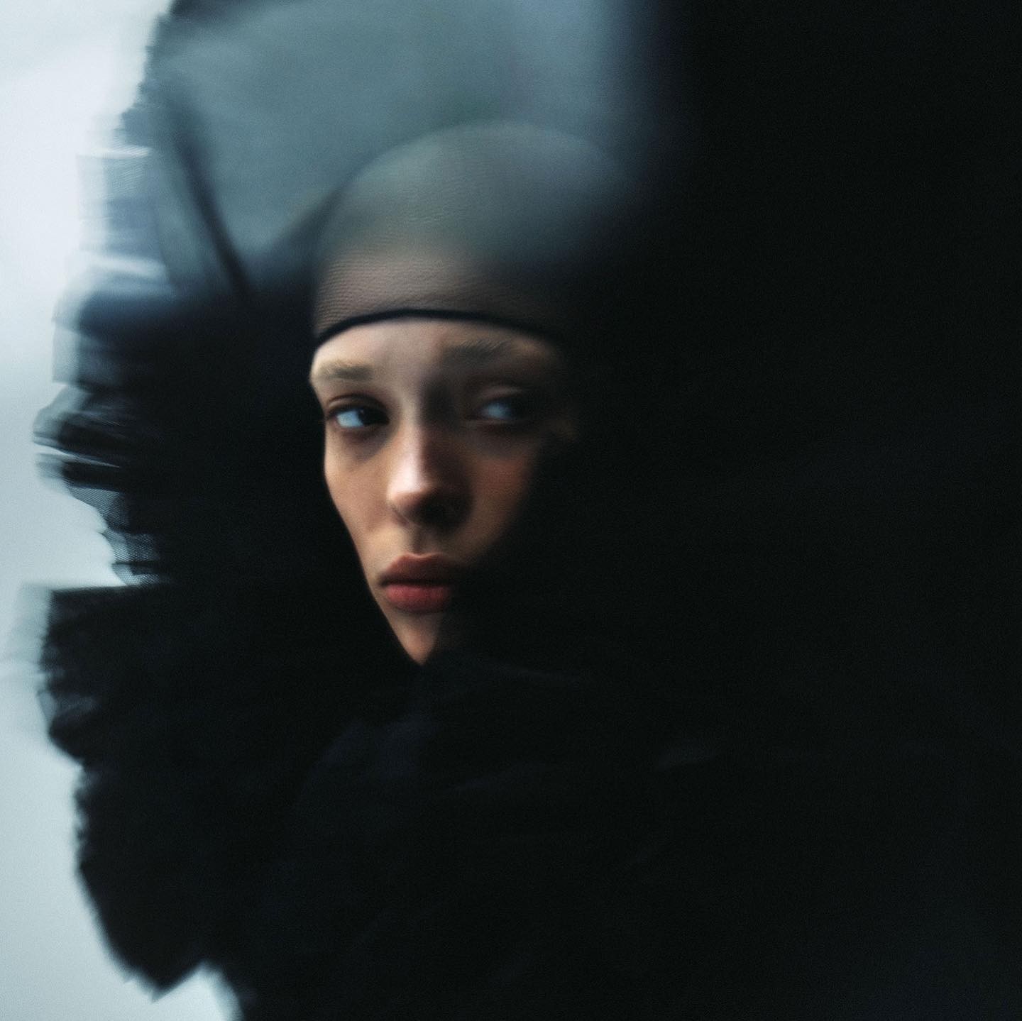 Creative content and campaign imagery