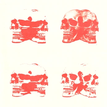 A cover of "Skull" cluster. The owner is studio.tamieuh. The cluster consists of 12 elements.