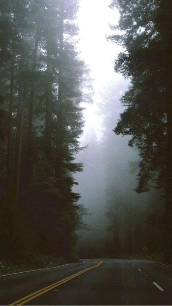 A cover of "Forestland" cluster. The owner is pastelfoxglove. The cluster consists of 9 elements.