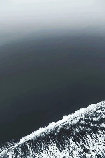 A cover of "nature" cluster. The owner is cminh. The cluster consists of 6 elements.