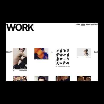 A cover of "wrk.so" cluster. The owner is brijr. The cluster consists of 2 elements.