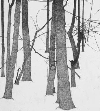 A cover of "Project - Shepherd" cluster. The owner is florisnemis. The cluster consists of 4 elements.