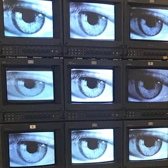 A cover of "Surveillance Aesthetics" cluster. The owner is cosmos. The cluster consists of 27 elements.