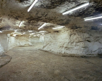 A cover of "TREND" cluster. The owner is sannehulsbosch. The cluster consists of 45 elements.