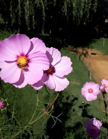 A cover of "Travel" cluster. The owner is nevena. The cluster consists of 13 elements.