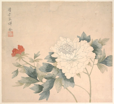 An image added by cosmos on Jul 11, 2024. May present: yun bing flower study, the metropolitan museum of art, flower study, chinese painting, chinese art.