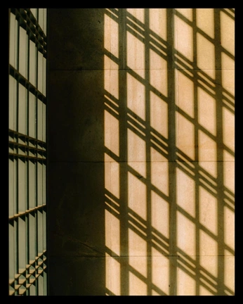 A cover of "surfaces" cluster. The owner is tierrart. The cluster consists of 15 elements.