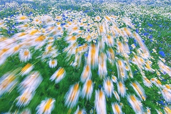 A cover of "summer25?" cluster. The owner is isbly. The cluster consists of 20 elements.