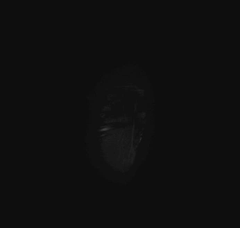 A cover of "Visuals" cluster. The owner is bbbaszo. The cluster consists of 37 elements.