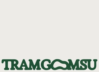 A cover of "Color" cluster. The owner is willno.4. The cluster consists of 2 elements.