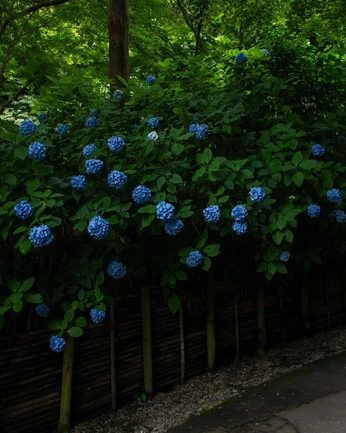 A cover of "outside" cluster. The owner is kels.koho. The cluster consists of 33 elements.