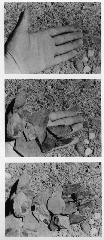 A cover of "radiant mind" cluster. The owner is milou. The cluster consists of 43 elements.