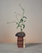Cover of IKEBANA cluster