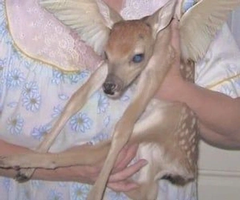 A cover of "vibes" cluster. The owner is ravzaglc. The cluster consists of 10 elements.