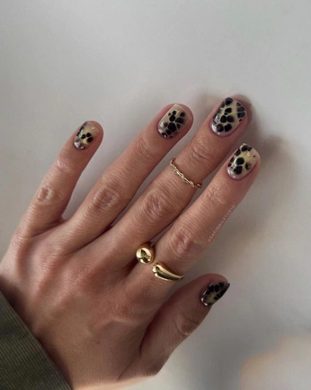 A cover of "🤲🏼" cluster. The owner is awguste. The cluster consists of 3 elements.