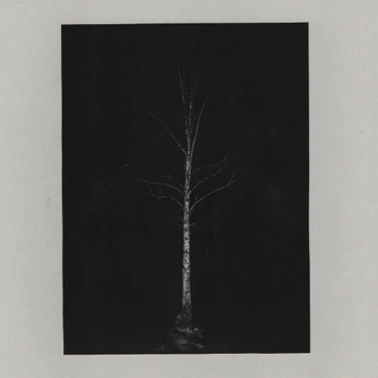 A cover of "흑백" cluster. The owner is potatokim. The cluster consists of 2 elements.