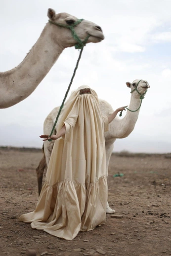 A cover of "Folhias" cluster. The owner is danielabaenav. The cluster consists of 69 elements.