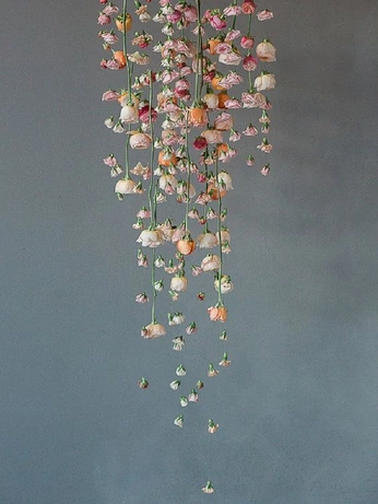 A cover of "Apartment Planning" cluster. The owner is karttika. The cluster consists of 8 elements.