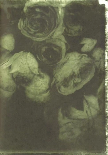 A cover of "of Eir" cluster. The owner is abigaileir. The cluster consists of 183 elements.