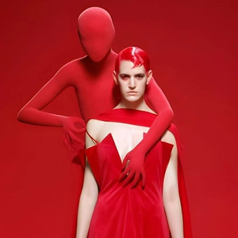 A cover of "Divine: Couture" cluster. The owner is daisynaisy. The cluster consists of 356 elements.