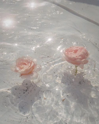 A cover of "photography" cluster. The owner is pawen. The cluster consists of 75 elements.